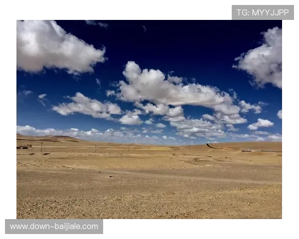 开云真人在哪里营业公开时间和地点详情全面解析让你一目了然 开云真人在哪里营业公开时间和地点详情全面解析让你一目了然