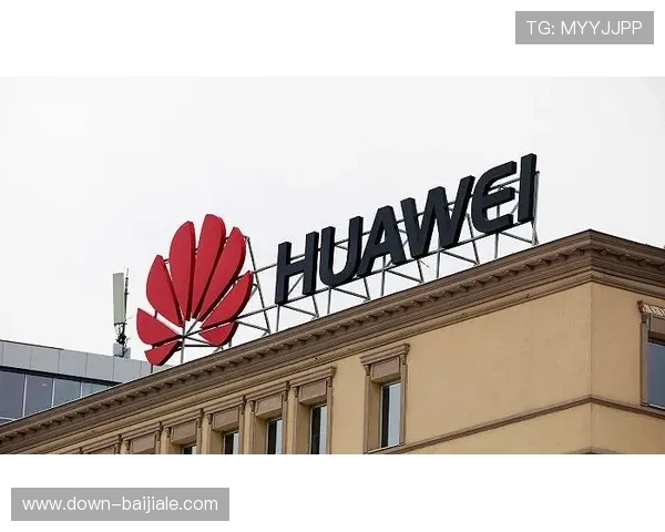 掌握K8真人官网入口的最新动态与行业发展趋势,保持领先优势 掌握K8真人官网入口的最新动态与行业发展趋势,保持领先优势